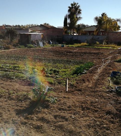 Foto 2 de Finca rústica en venta en N-iv, 394, Alcolea, Córdoba Capital