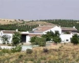 Vista exterior de Finca rústica en venda en Mora amb Aire condicionat, Terrassa i Piscina