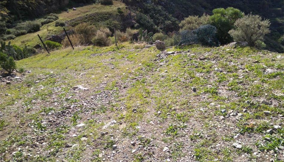 Apartment for sale in Gc-210, 1, Artenara, Las Palmas - image 1 Photo 1 of Apartment for sale in Gc-210, 1, Artenara, Las Palmas