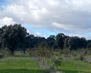 Terreny en venda en Santa Cristina de la Polvorosa