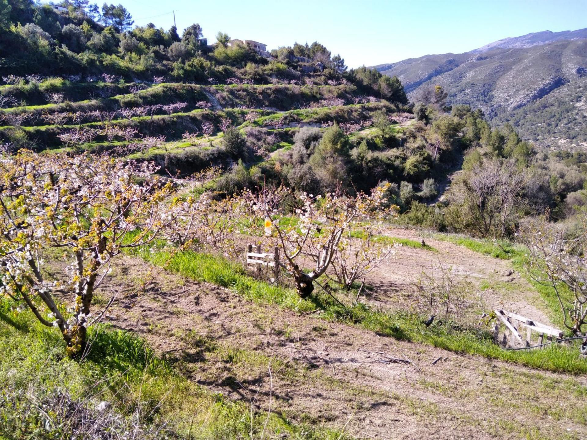 No Urbanitzable en venda en Vall de Gallinera