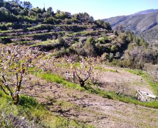 Non-constructible Land for sale in Vall de Gallinera