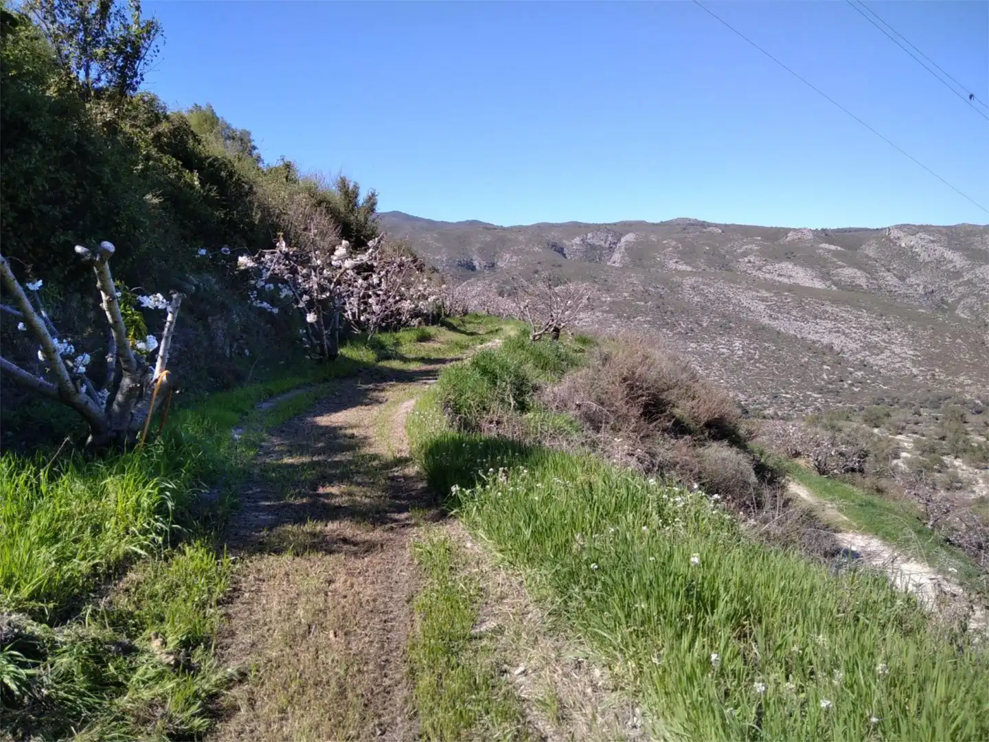 Nicht bebaubares Gelände zum Verkauf in Carrer Raval, 36, Vall de Gallinera Außenansicht von Nicht bebaubares Gelände zum Verkauf in Vall de Gallinera
