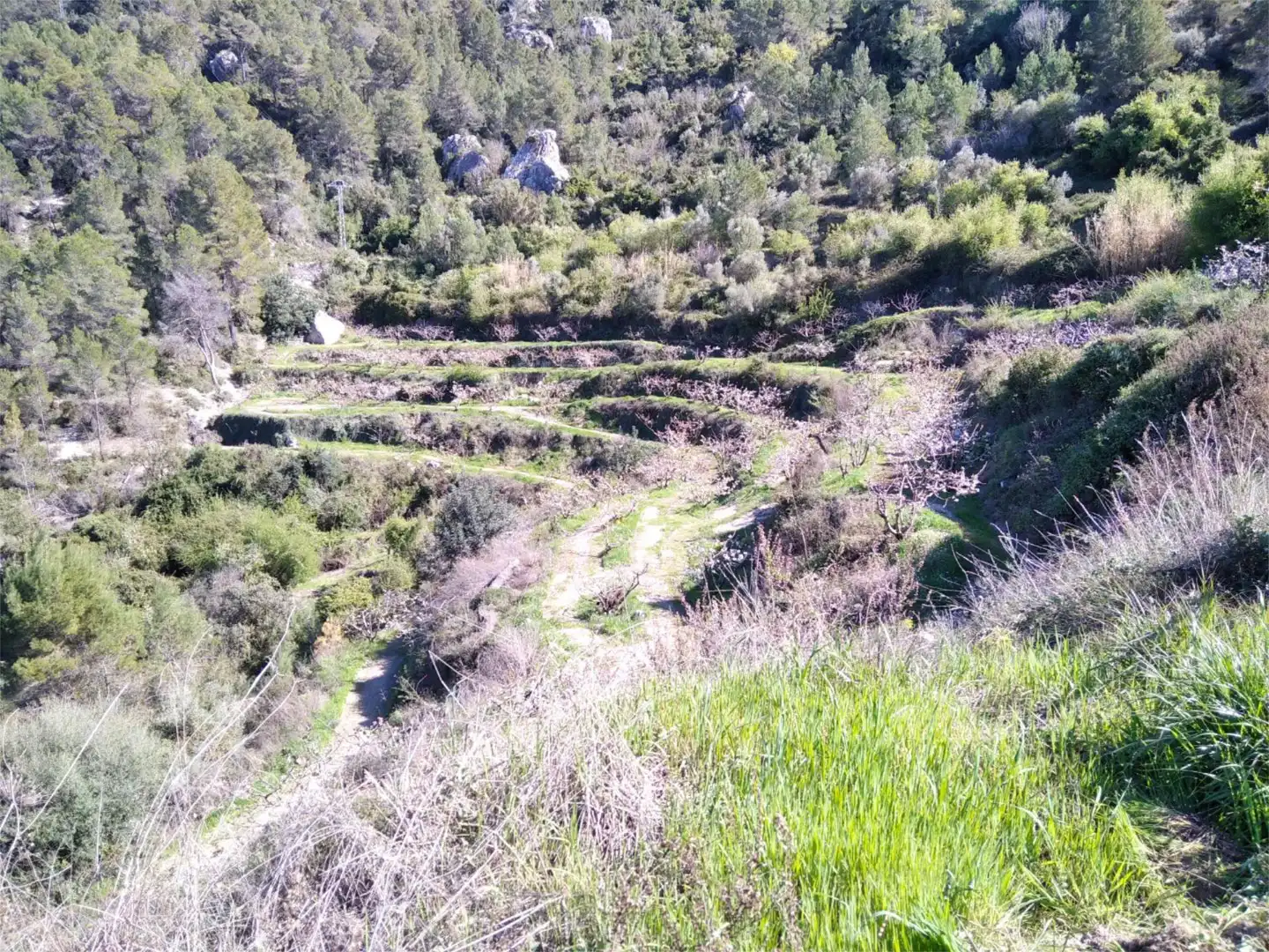 Nicht bebaubares Gelände zum Verkauf in Carrer Raval, 36, Vall de Gallinera Nicht bebaubares Gelände zum Verkauf in Vall de Gallinera