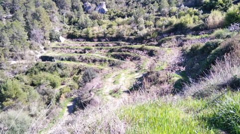 Foto 3 von Nicht bebaubares Gelände zum Verkauf in Carrer Raval, 36, La Vall de Gallinera, Alicante