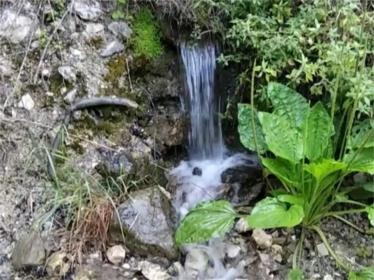 Nicht bebaubares Gelände zum Verkauf in Carrer Raval, 36, Vall de Gallinera Außenansicht von Nicht bebaubares Gelände zum Verkauf in Vall de Gallinera