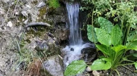 Foto 4 von Nicht bebaubares Gelände zum Verkauf in Carrer Raval, 36, La Vall de Gallinera, Alicante