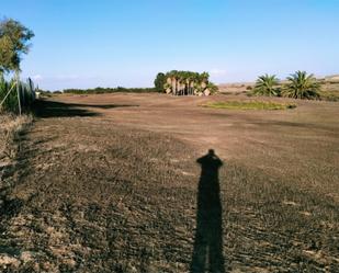 Land for sale in Sanlúcar de Barrameda