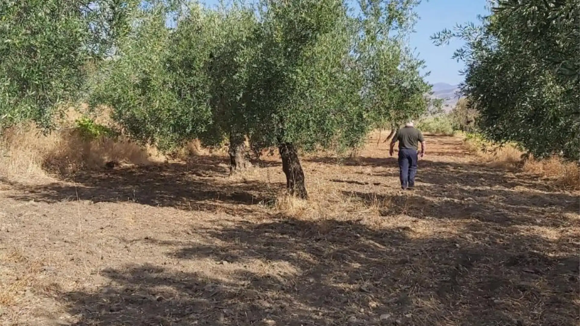 Terreno en venta en Abrucena