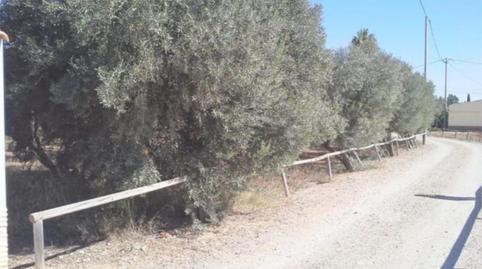 Foto 2 de Planta baixa en venda a Lugar Los Barretos, 16, La Magdalena - Molinos Marfagones, Murcia