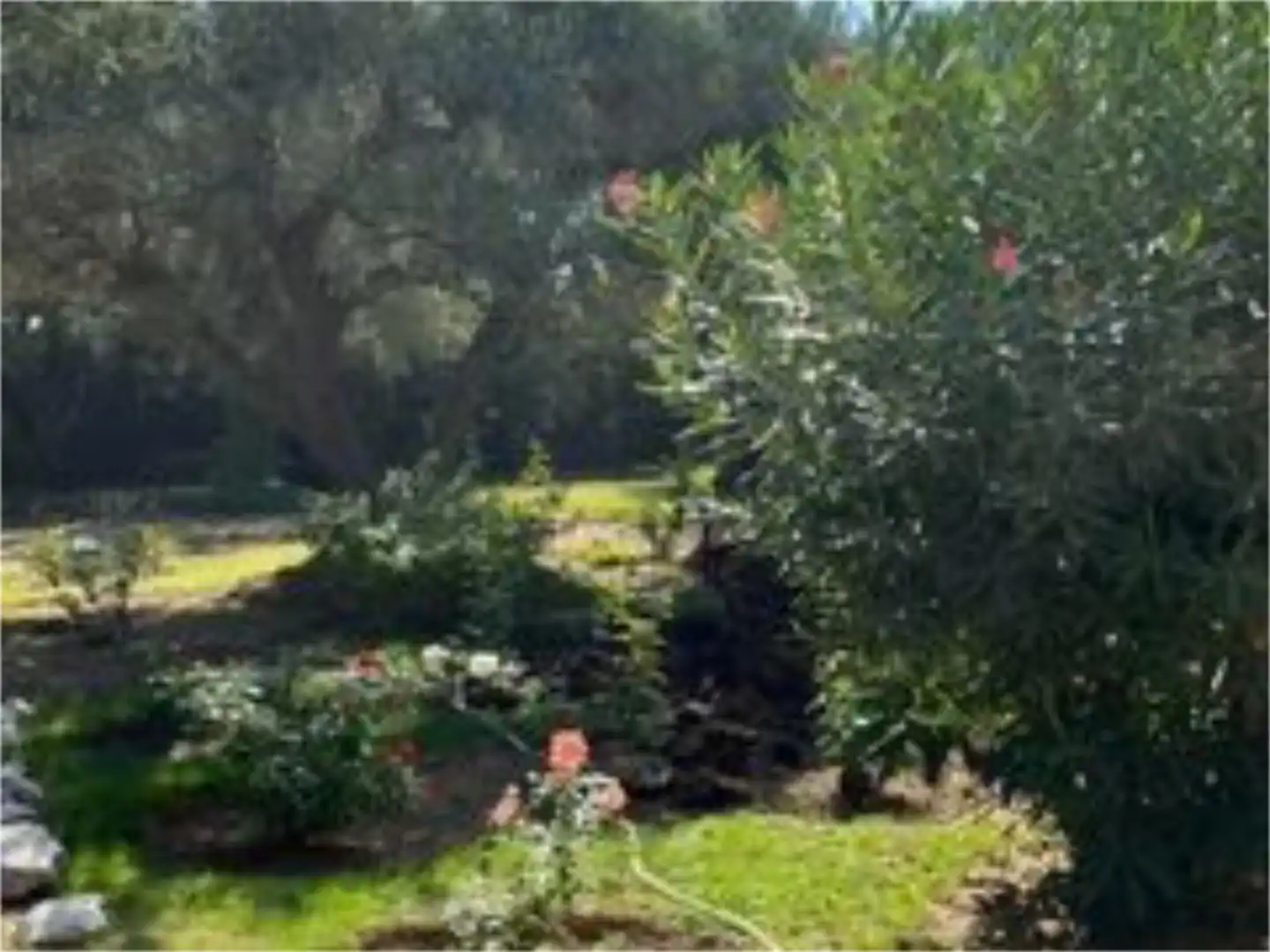 Jardí de Finca rústica en venda en Pedrola amb Jardí privat, Terrassa i Piscina