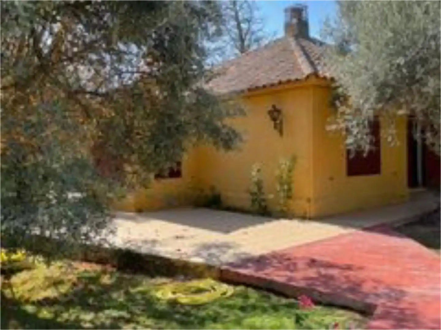 Jardí de Finca rústica en venda en Pedrola amb Jardí privat, Terrassa i Piscina