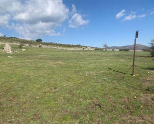 Non-constructible Land for sale in Los Molinos