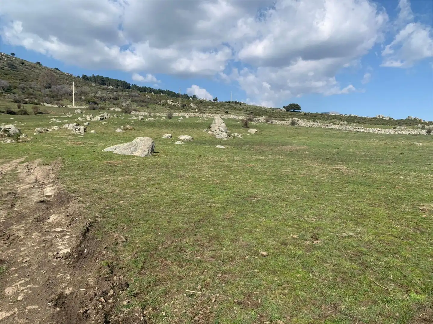 No Urbanitzable en venda a Los Molinos No Urbanitzable en venda en Los Molinos