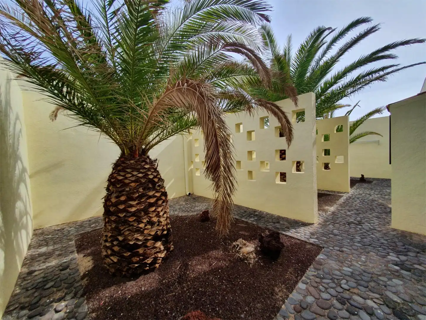 Casa o chalet en venta en Diseminado las Playas, 22, Valverde (Santa Cruz de Tenerife) Jardín de Casa o chalet en venta en Valverde (Santa Cruz de Tenerife) con Aire acondicionado, Jardín privado y Terraza