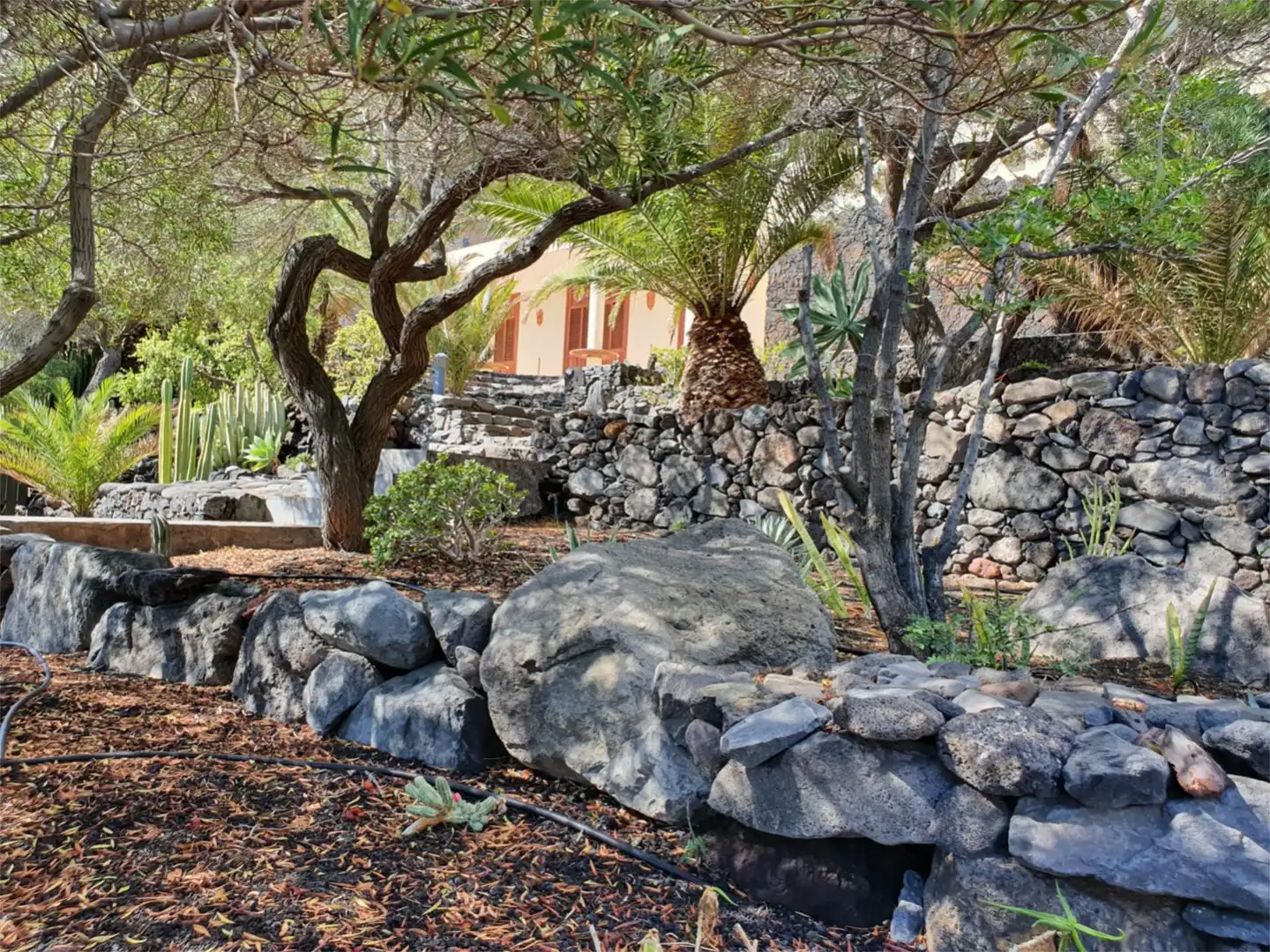 Casa o chalet en venta en Diseminado las Playas, 22, Valverde (Santa Cruz de Tenerife) Jardín de Casa o chalet en venta en Valverde (Santa Cruz de Tenerife) con Aire acondicionado, Jardín privado y Terraza
