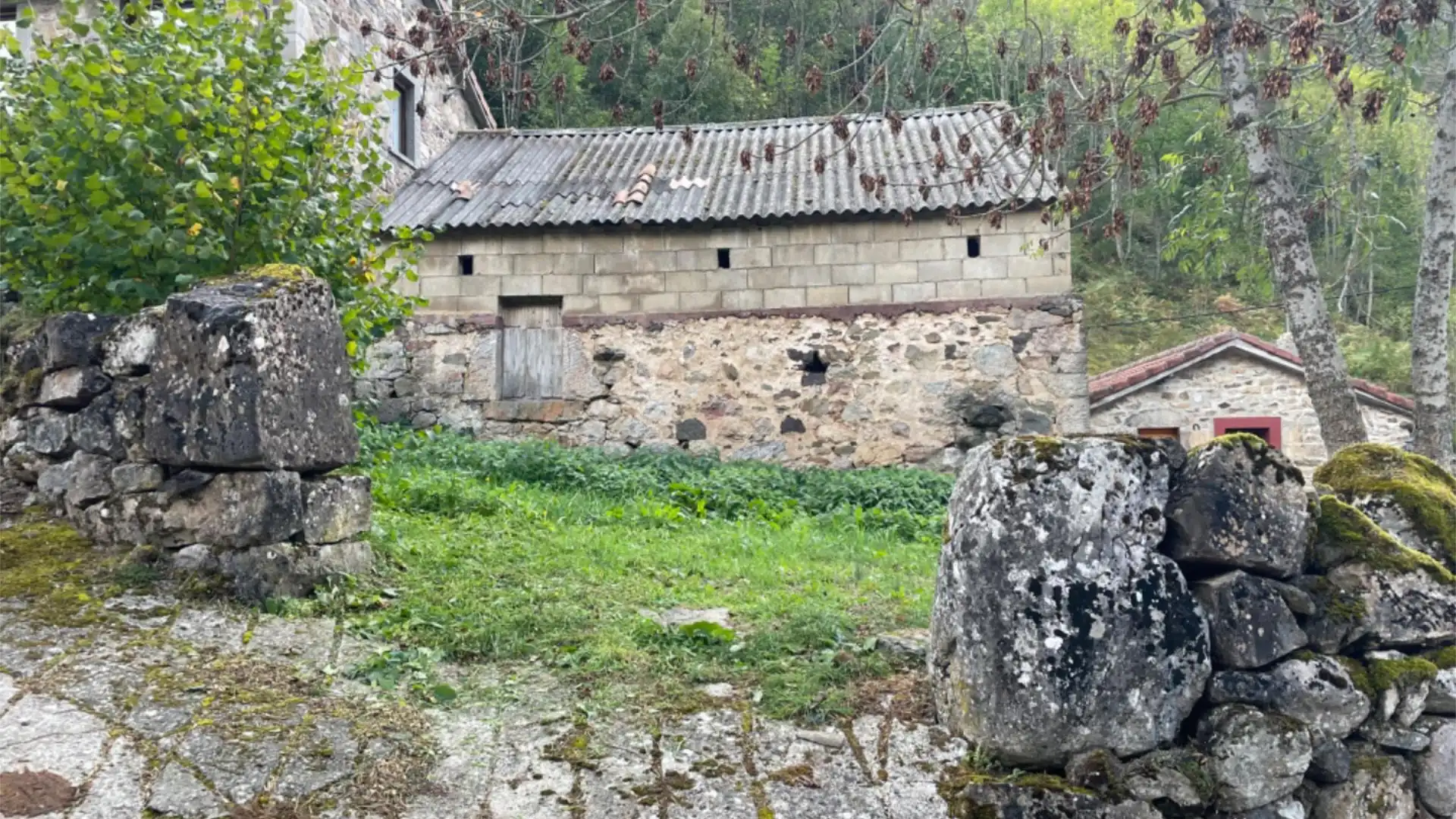 Vista exterior de Casa o chalet en venta en Somiedo con Jardín privado y Terraza