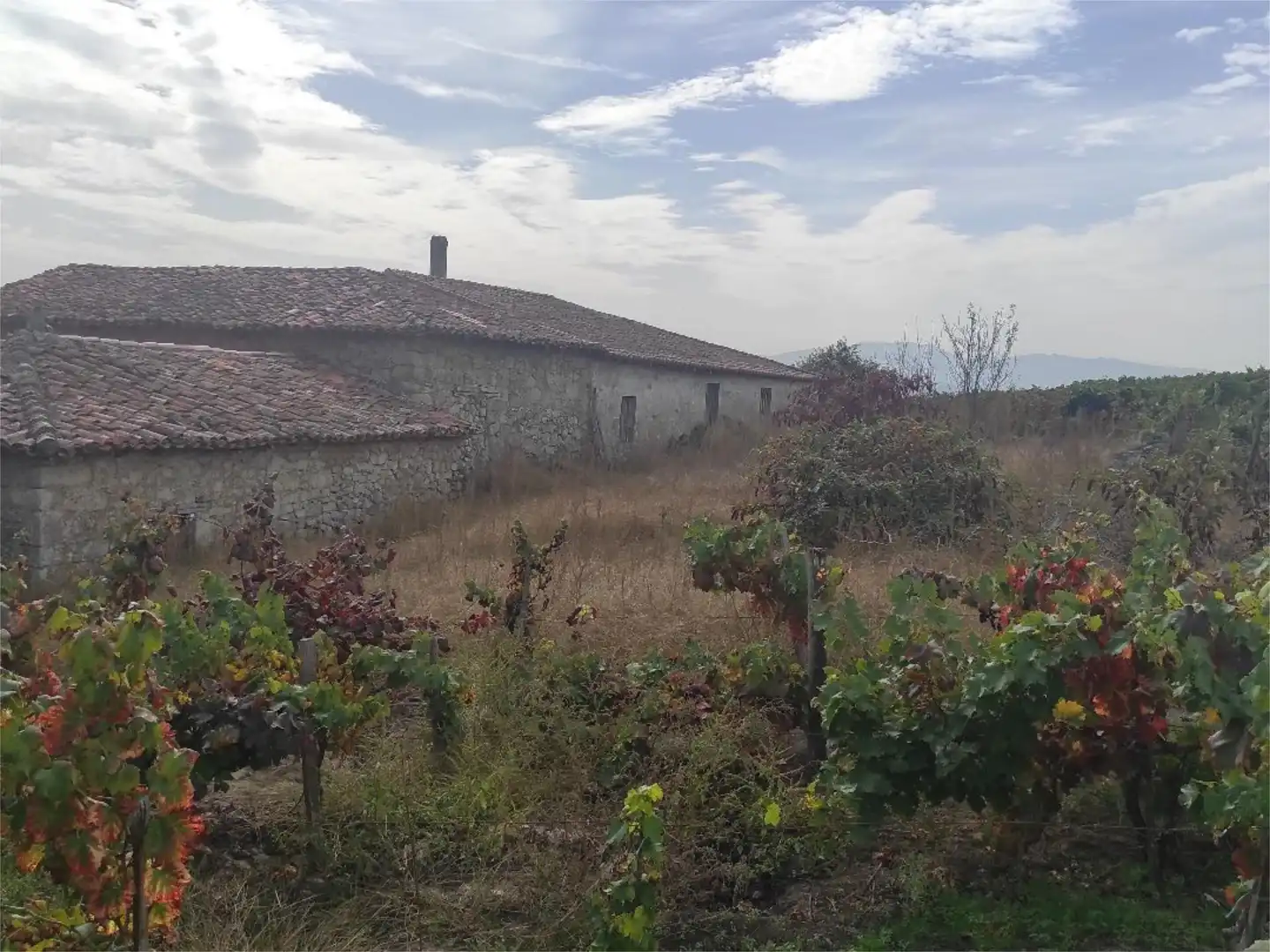 Flat for sale in Pantón