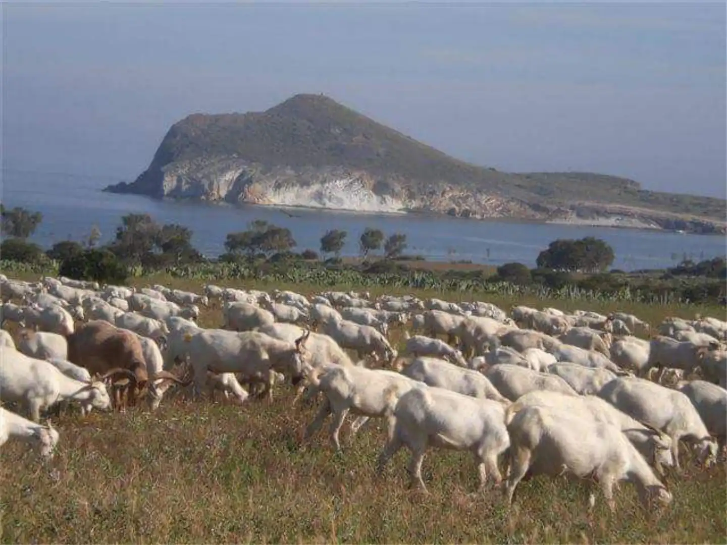 Casa o chalet de alquiler en Calle la Mesta, 20, Pozo de los Frailes - Presillas - Albaricoques Casa o chalet de alquiler en Calle la Mesta, 20, Pozo de los Frailes - Presillas - Albaricoques