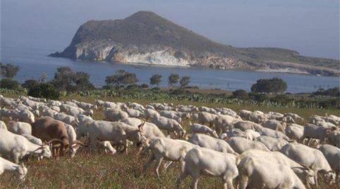 Photo 2 of House or chalet to rent in Calle la Mesta, 20, Pozo de los Frailes - Presillas - Albaricoques, Almería