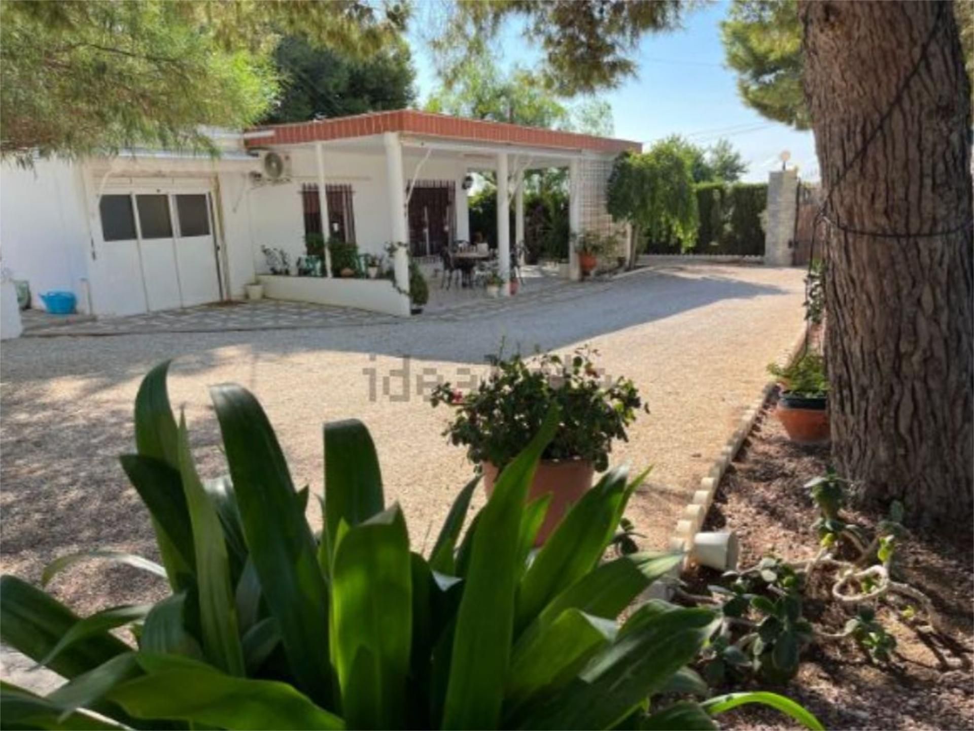 Vista exterior de Casa o xalet en venda en Crevillent amb Aire condicionat i Terrassa
