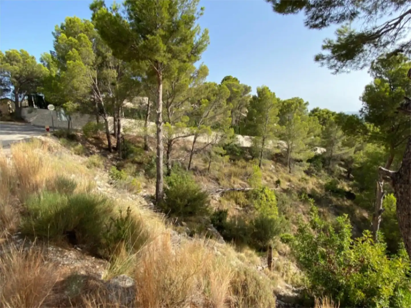 Urbanitzable en venda a Calle Corniola, 1, Altea la Vella Urbanitzable en venda en Altea
