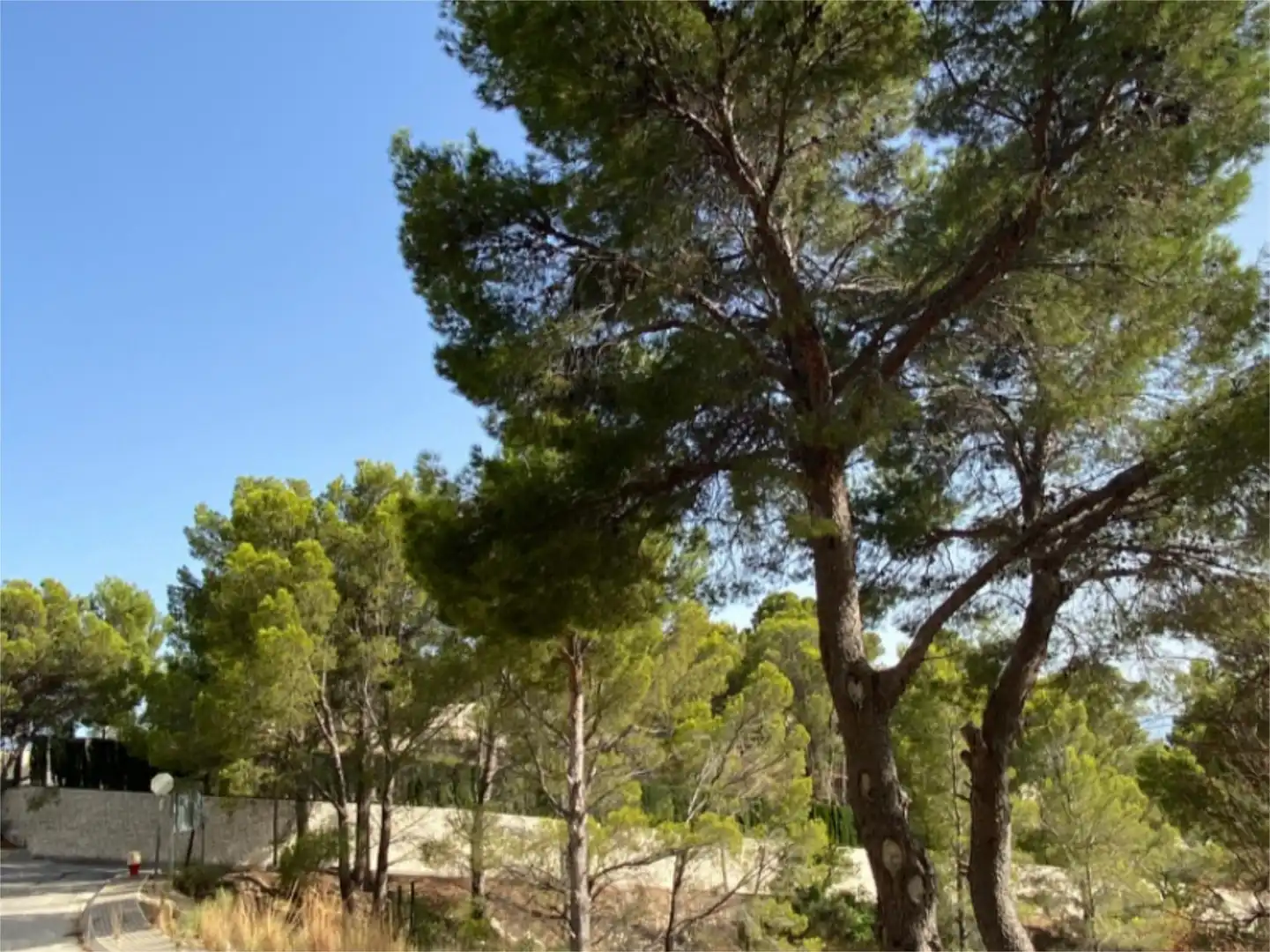 Urbanitzable en venda a Calle Corniola, 1, Altea la Vella Urbanitzable en venda en Altea