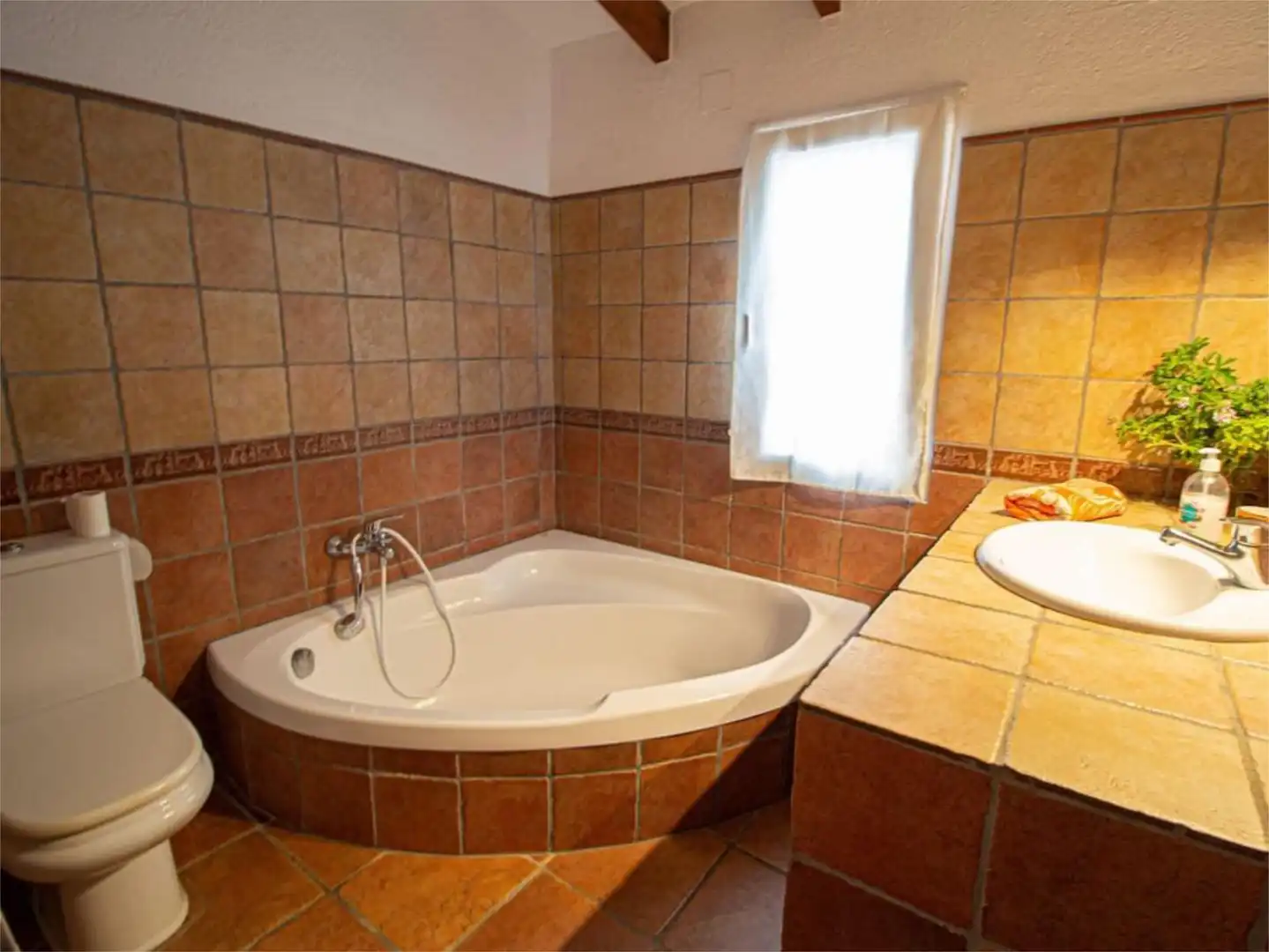 Casa o chalet de alquiler en Calle Alfafara, 7, Puerto Casa o chalet de alquiler en Calle Alfafara, 7, Puerto