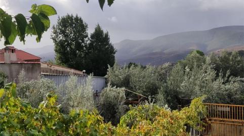 Finca rústica en venta en Calle del Este T, 11, Mestanza, Ciudad Real - imagen 4 Foto 4 de Finca rústica en venta en Calle del Este T, 11, Mestanza, Ciudad Real