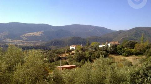 Finca rústica en venta en Calle del Este T, 11, Mestanza, Ciudad Real - imagen 5 Foto 5 de Finca rústica en venta en Calle del Este T, 11, Mestanza, Ciudad Real