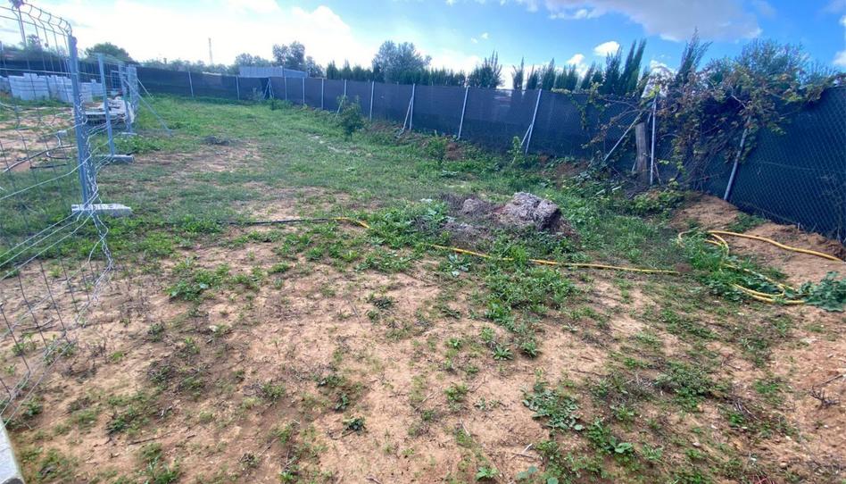 Foto 1 de Finca rústica en venta en Cañada Real de las Islas, 1, Zona Universitaria, Sevilla