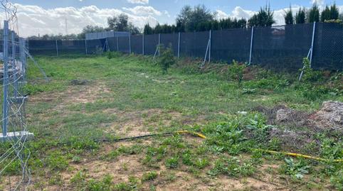 Foto 3 de Finca rústica en venta en Cañada Real de las Islas, 1, Zona Universitaria, Sevilla