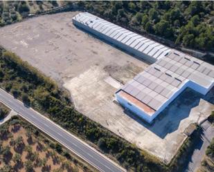 Exterior view of Industrial buildings to rent in Benicarló