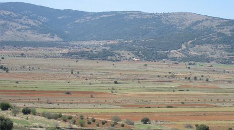 Terreno en venta en Vistabella del Maestrazgo, Castellón - imagen 5 Foto 5 de Terreno en venta en Vistabella del Maestrazgo, Castellón