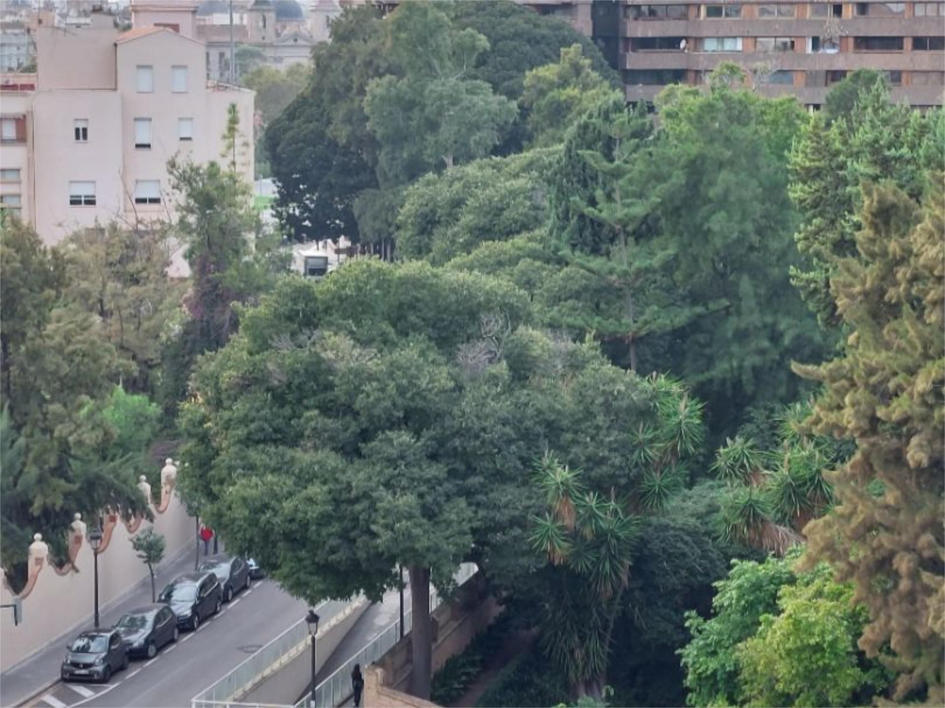 Exterior view of Flat to rent in  Valencia Capital  with Air Conditioner and Terrace