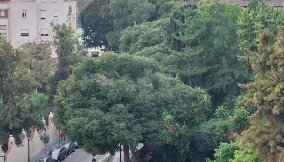 Pis de lloguer a Carrer de Les Arts Gràfiques, 5, Exposició, Valencia - imatge 1 Foto 1 de Pis de lloguer a Carrer de Les Arts Gràfiques, 5, Exposició, Valencia