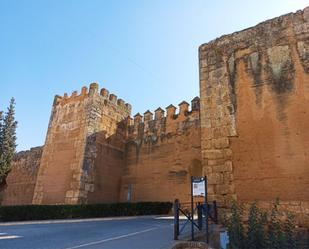 Vista exterior de Casa adosada en venda en Niebla amb Aire condicionat, Terrassa i Balcó