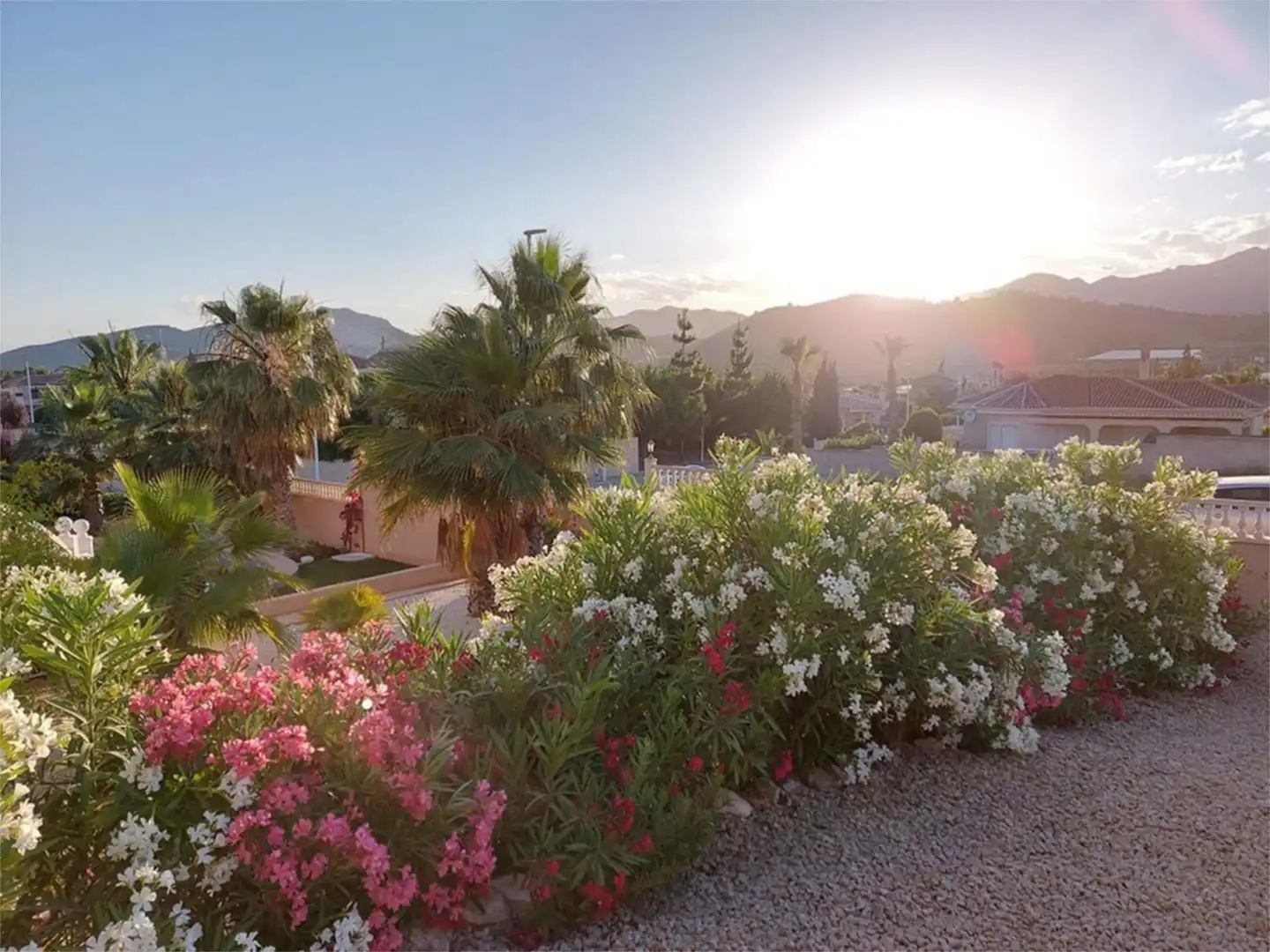 Vista exterior de Casa o chalet en venta en Hondón de las Nieves / El Fondó de les Neus con Aire acondicionado, Terraza y Piscina