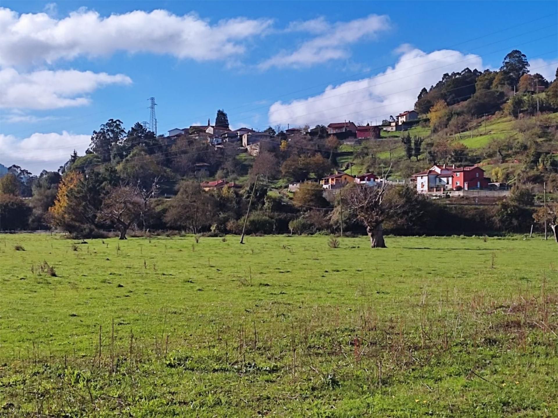 Exterior view of Land for sale in Pravia