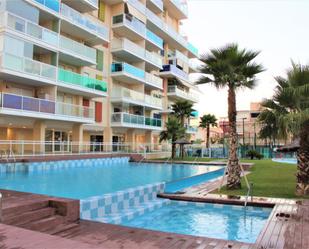 Swimming pool of Flat to share in Alicante / Alacant  with Air Conditioner, Terrace and Swimming Pool