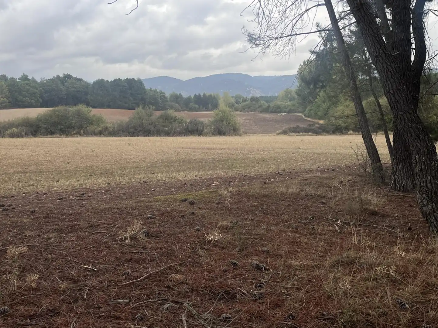 Finca rústica en venta en Villalba de la Sierra Finca rústica en venta en Villalba de la Sierra