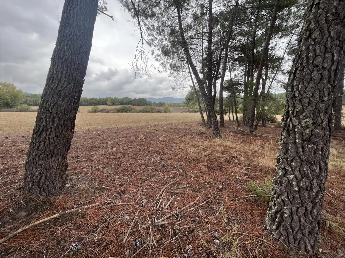 Finca rústica en venta en Villalba de la Sierra Finca rústica en venta en Villalba de la Sierra