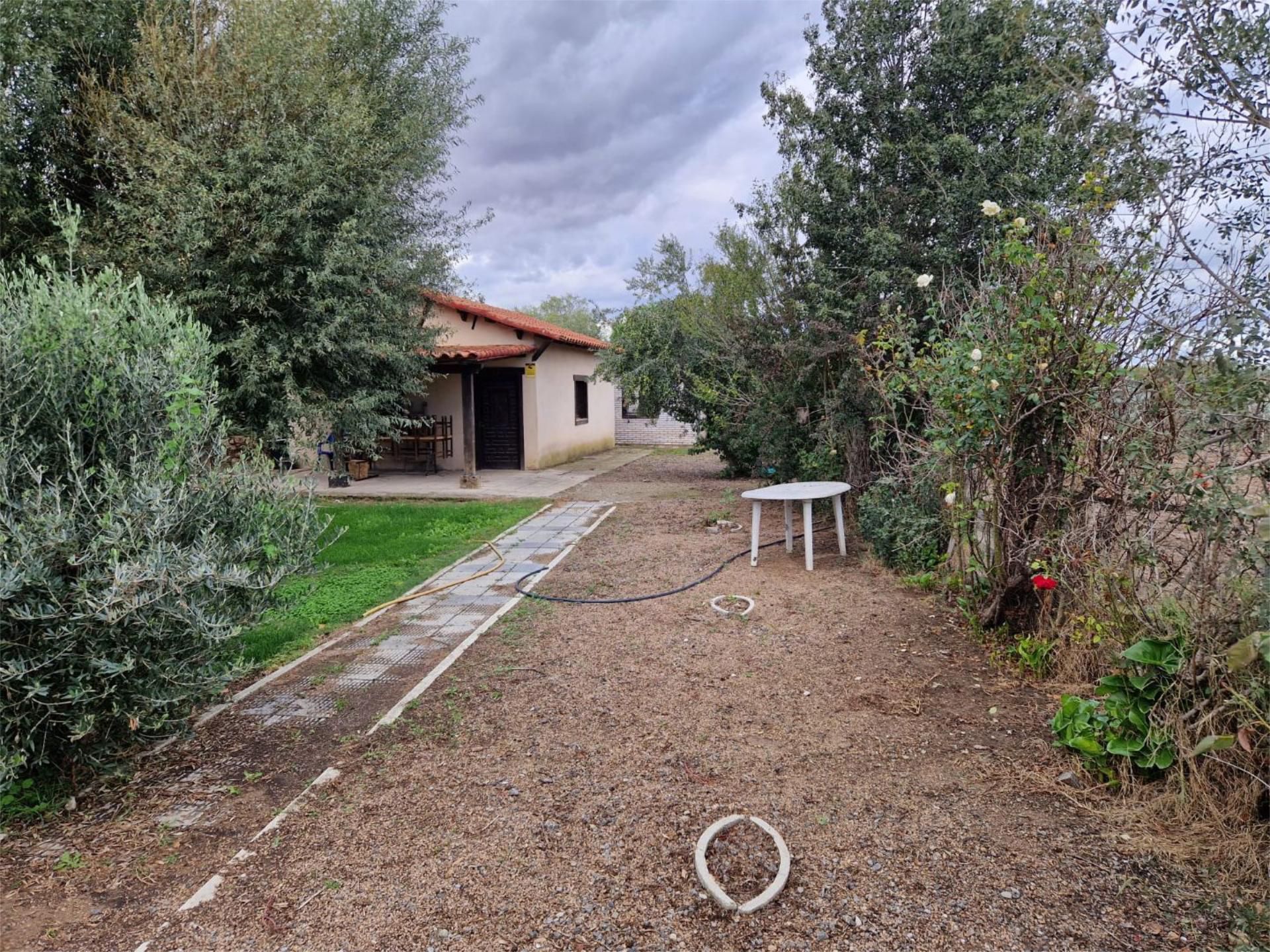 Garden of Country house for sale in Tudela