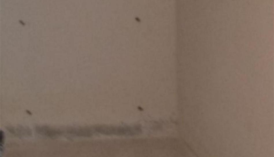 Traster de lloguer a Avenida de Uruguay, 11, Playa Poniente, Alicante - imatge 1 Foto 1 de Traster de lloguer a Avenida de Uruguay, 11, Playa Poniente, Alicante