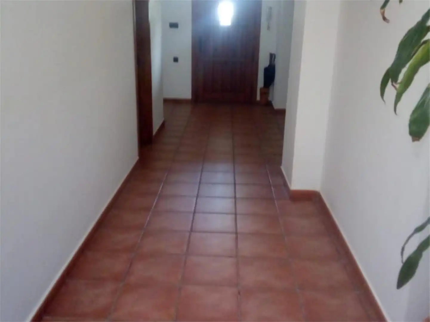 Ground floor for sale in Plaza Comunidad Valenciana, 6, Crevillent Ground floor for sale in Crevillent with Terrace and Balcony