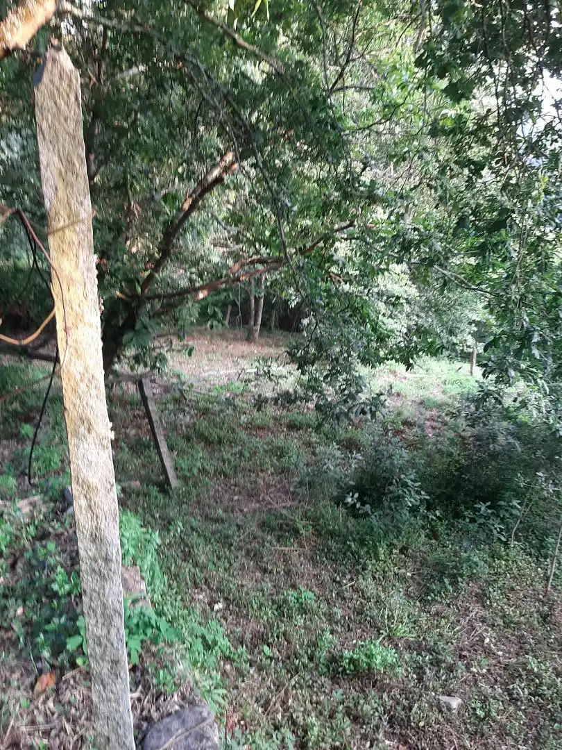 Country homes for sale in Caserio Rectoral, 1, Padrenda Country homes for sale in Padrenda