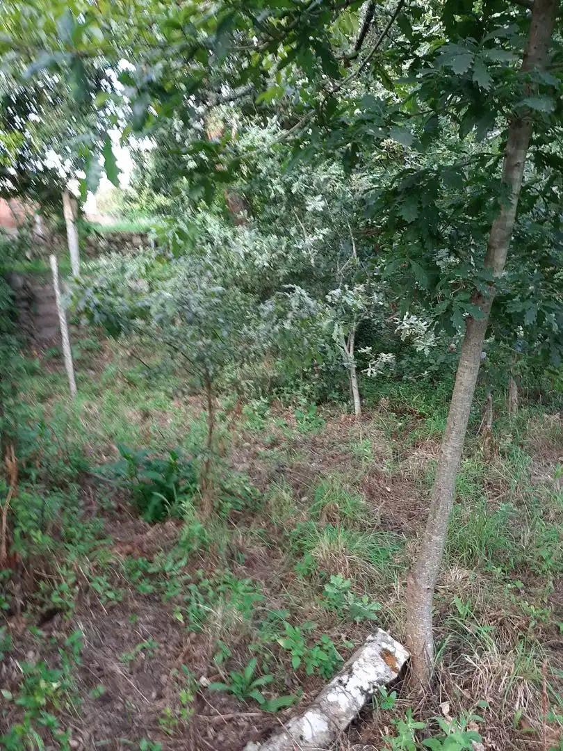 Country homes for sale in Caserio Rectoral, 1, Padrenda Country homes for sale in Padrenda