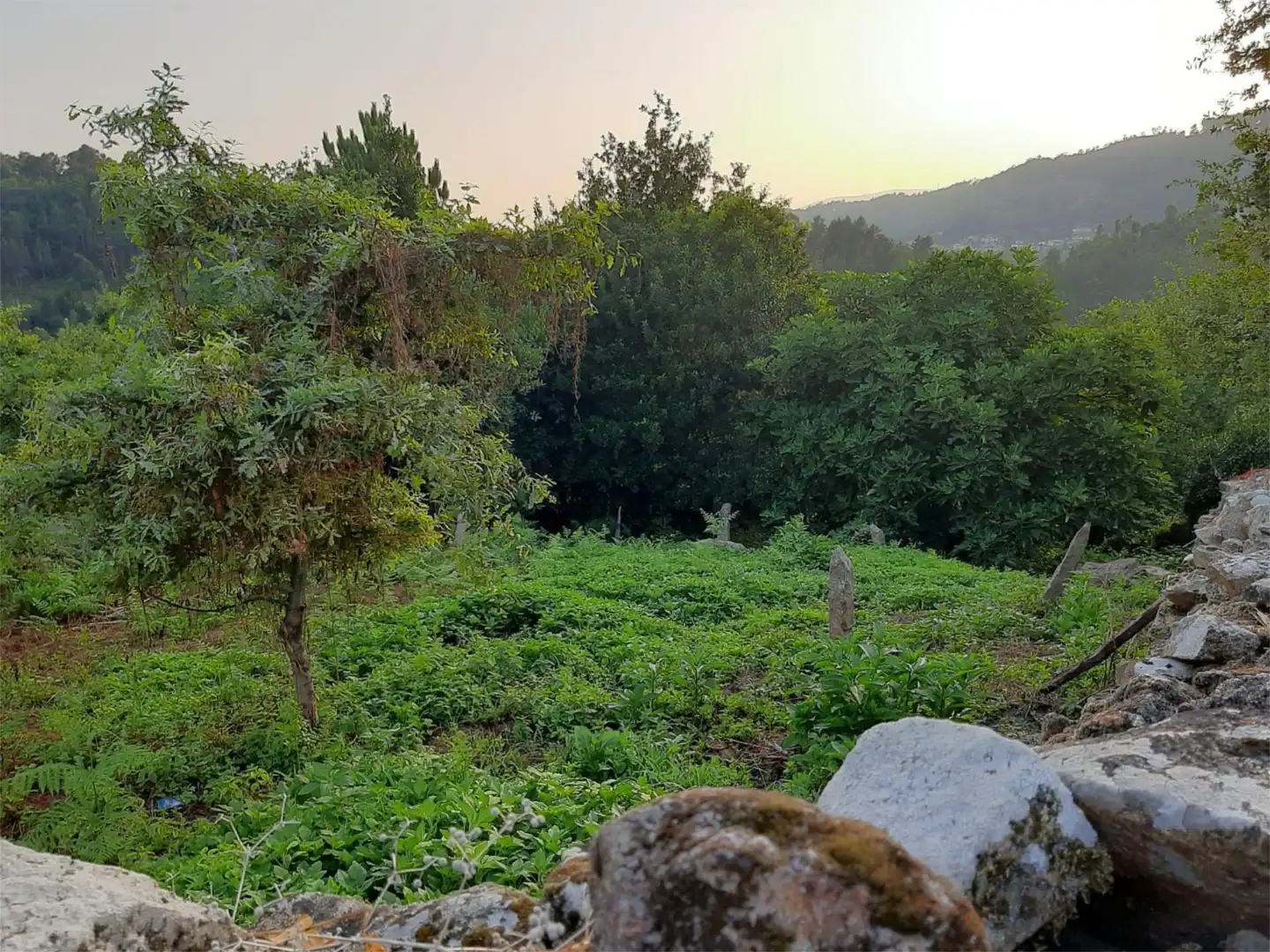 Country homes for sale in Caserio Rectoral, 1, Padrenda Country homes for sale in Padrenda