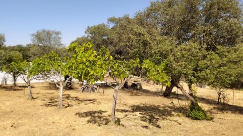 Terreny en venda a Fuente Obejuna, Córdoba - imatge 4 Foto 4 de Terreny en venda a Fuente Obejuna, Córdoba