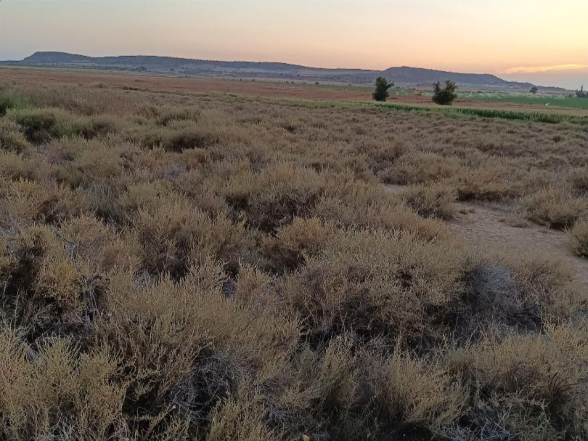Land for sale in Huerto